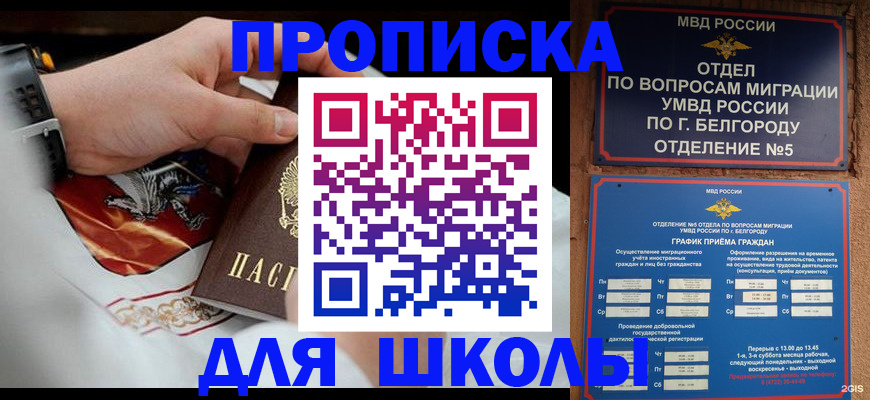 пропишу в квартире в Навашино